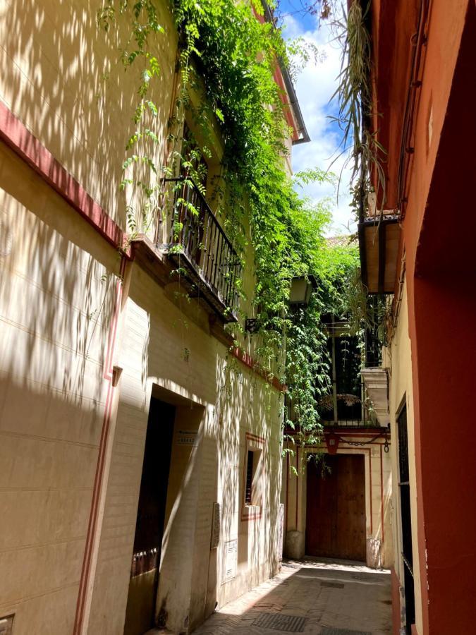 Acogedor Apt 8Pax 4Bdr 2Bth - Cozyhomesevilla1 Sevilha Exterior foto